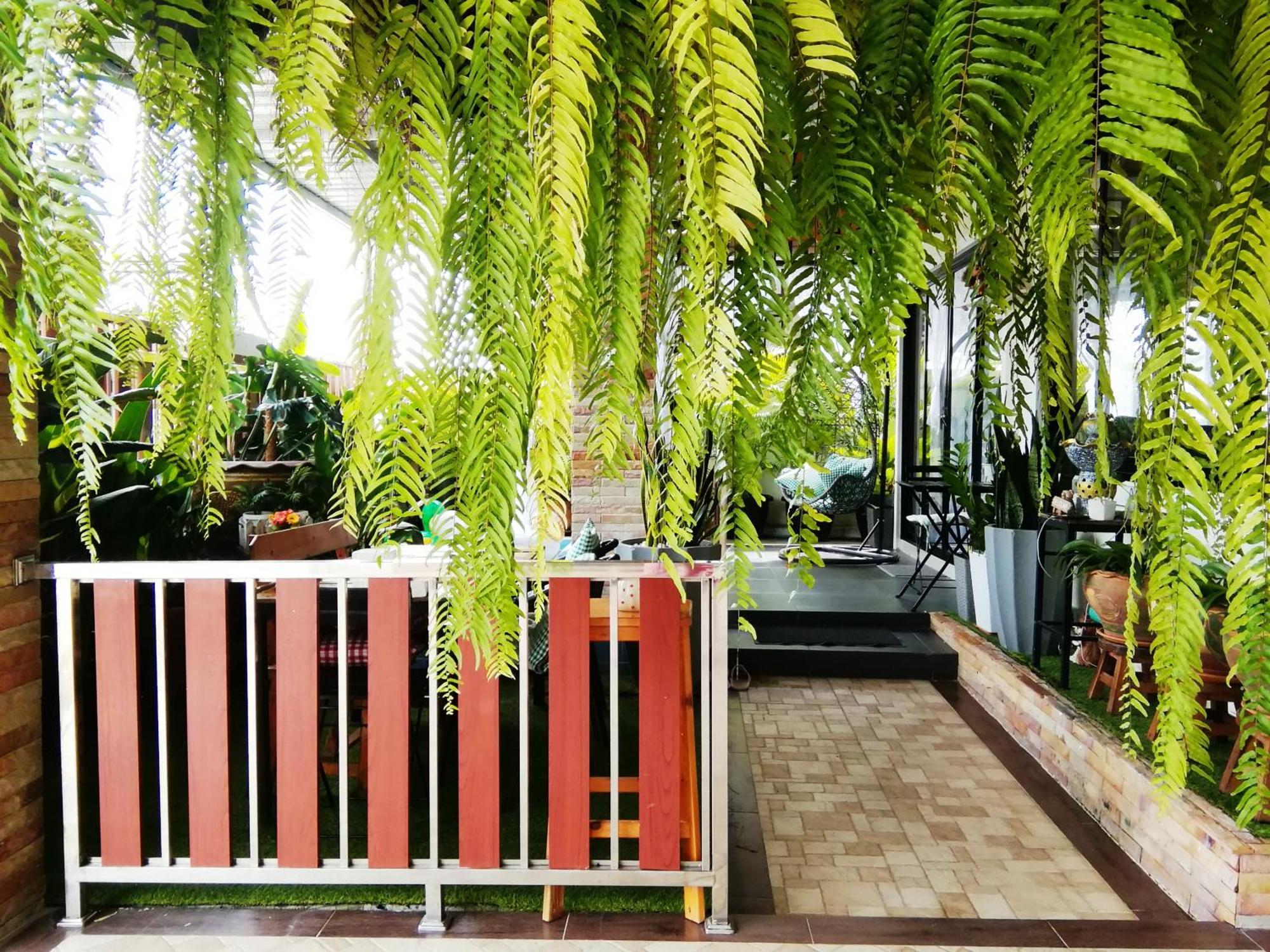 Wilderness Bed & Breakfast Ban Chang  Ruang foto
